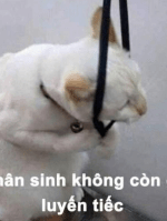 [Write-Up] NullCon CTF 2022 –&nbsp;Web